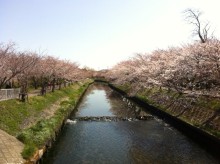 国際中医師アカデミーとうぎ先生の【中医学日記】