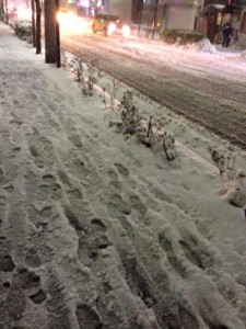 2014年2月８日大雪　